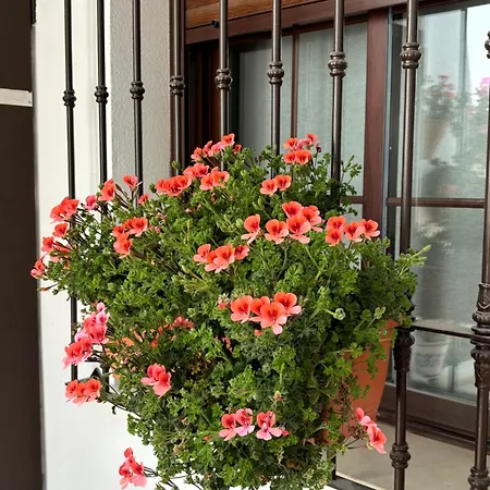 Apartment Flores De Mayo En Centro
